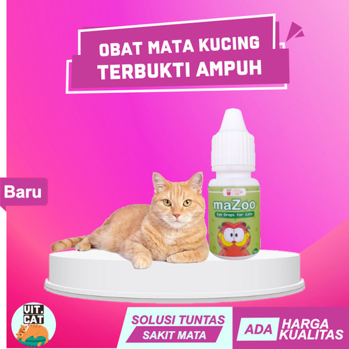 Detail Mata Kucing Berselaput Putih Nomer 17