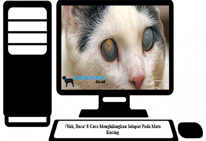 Detail Mata Kucing Berselaput Putih Nomer 36