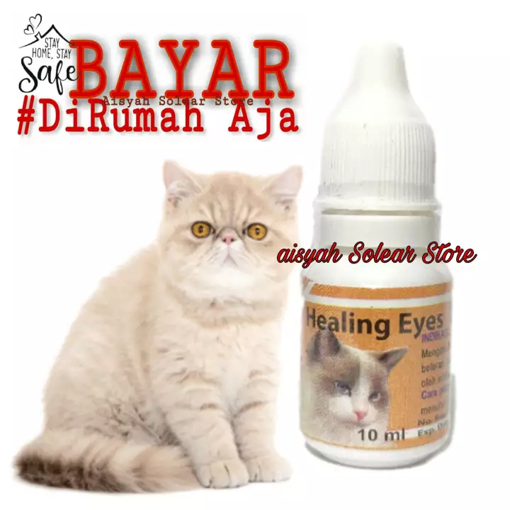 Detail Mata Kucing Merah Nomer 35