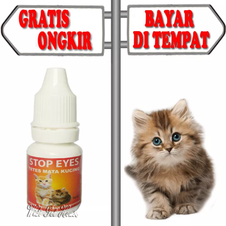 Detail Mata Kucing Merah Nomer 36