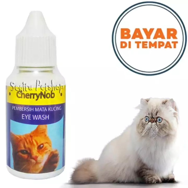 Detail Mata Kucing Merah Nomer 39