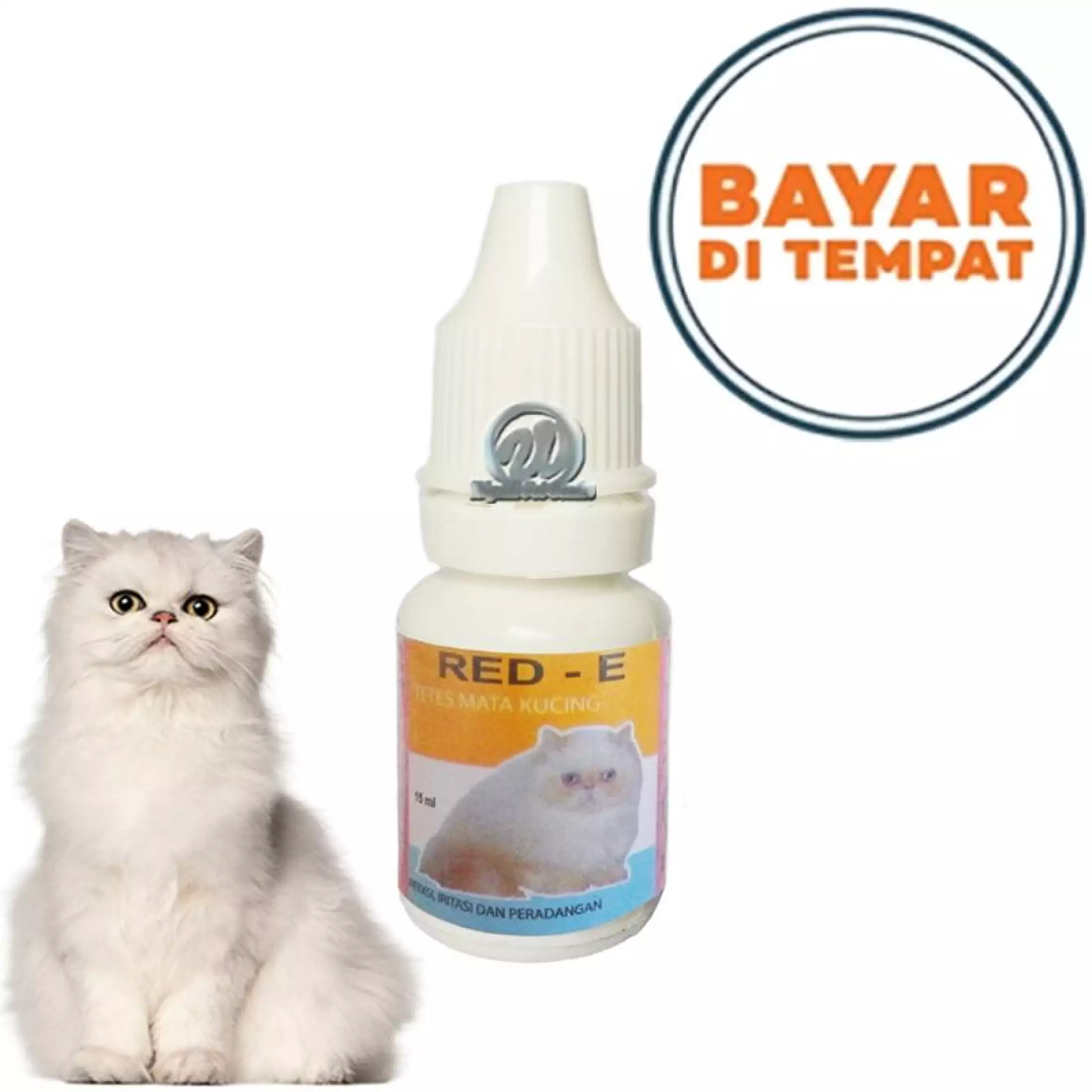 Detail Mata Kucing Merah Nomer 41