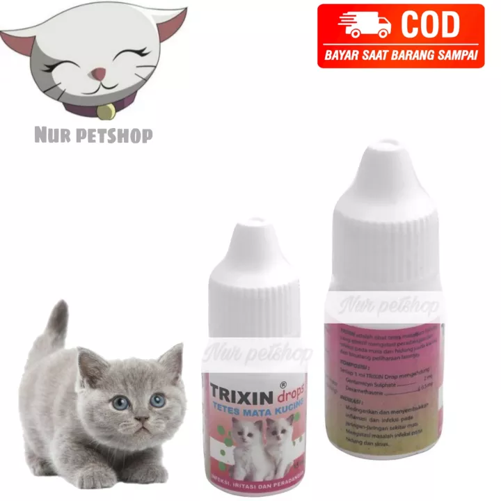 Detail Mata Kucing Merah Nomer 42
