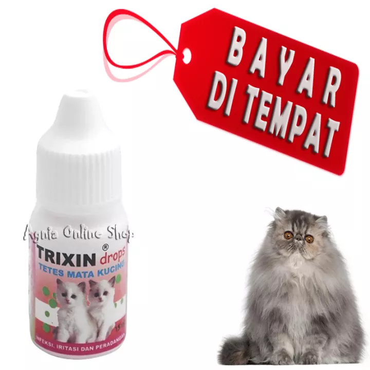 Detail Mata Kucing Merah Nomer 47