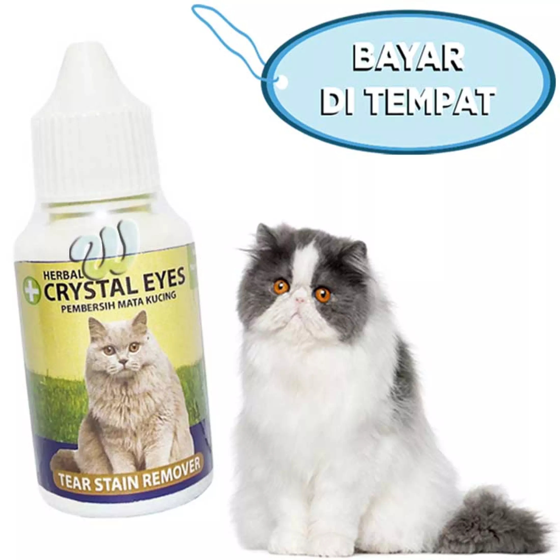 Detail Mata Kucing Merah Nomer 53