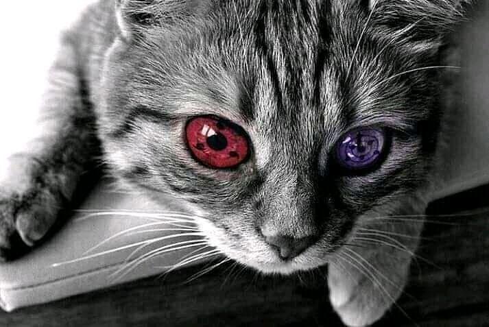 Detail Mata Sasuke Sharingan Nomer 27
