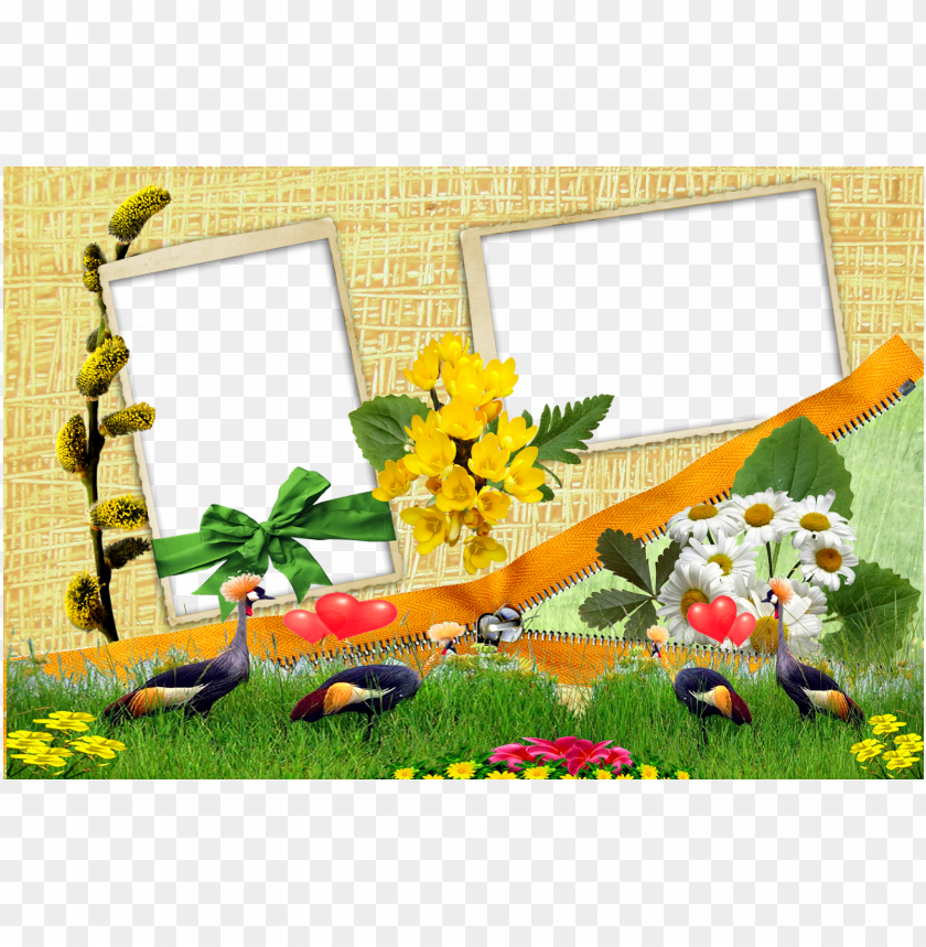 Detail Photoframe Png Nomer 47