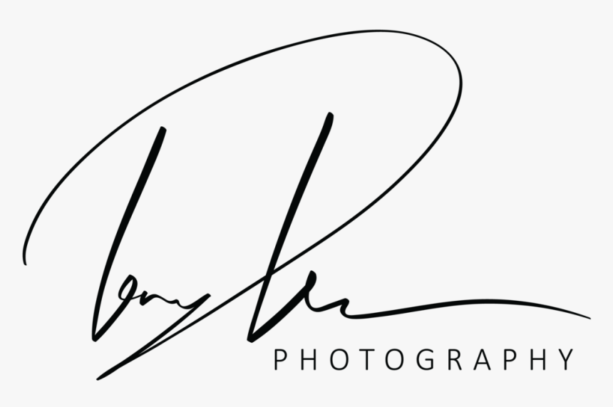 Detail Photography Logo Png Nomer 48