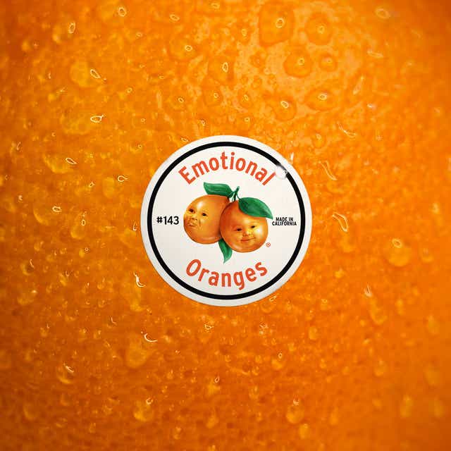 Detail Photos Of An Orange Nomer 20