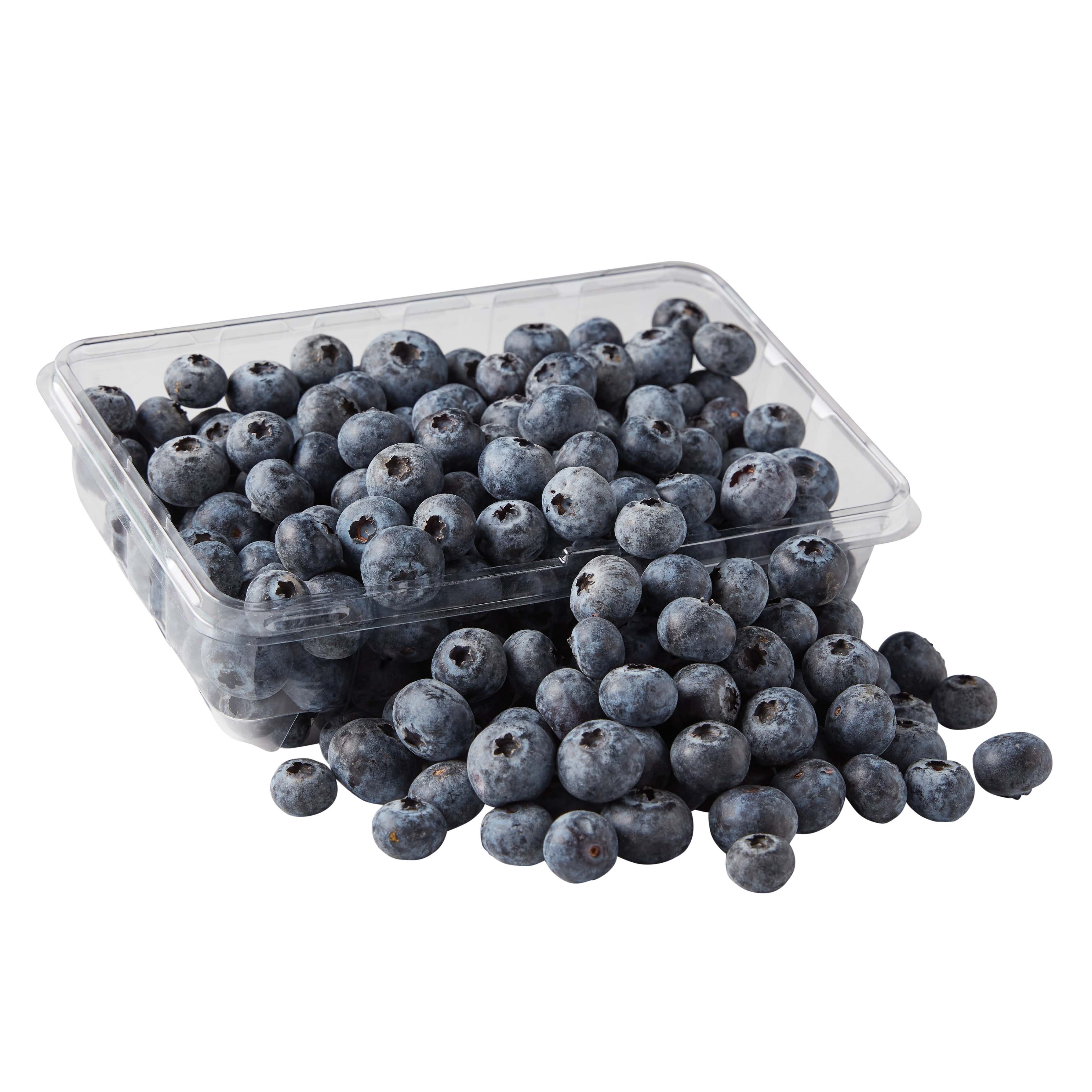 Detail Photos Of Blueberries Nomer 17