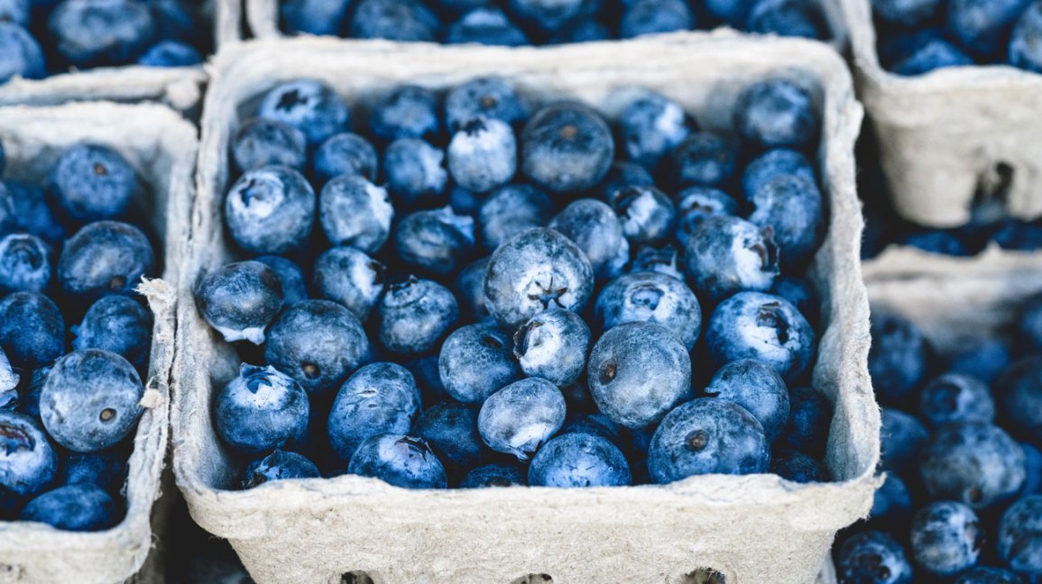 Detail Photos Of Blueberries Nomer 18