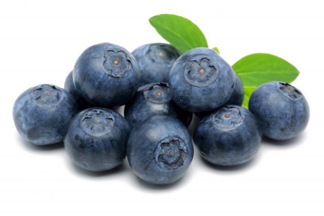 Detail Photos Of Blueberries Nomer 25