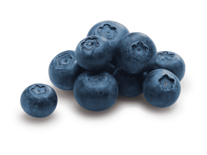 Detail Photos Of Blueberries Nomer 6
