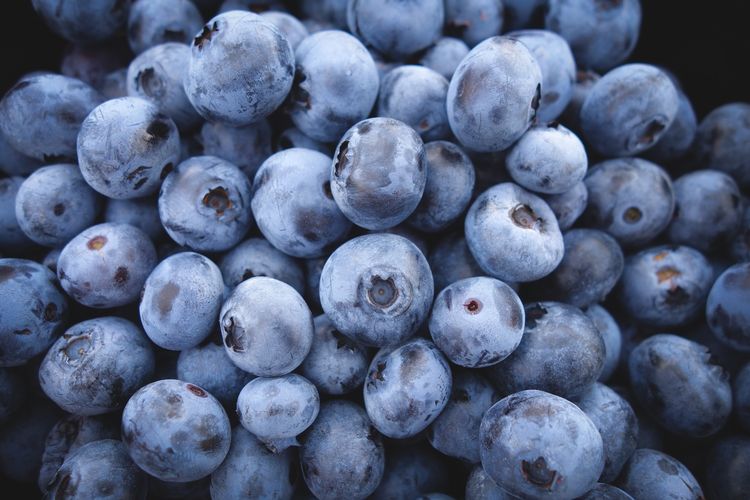 Detail Photos Of Blueberries Nomer 7