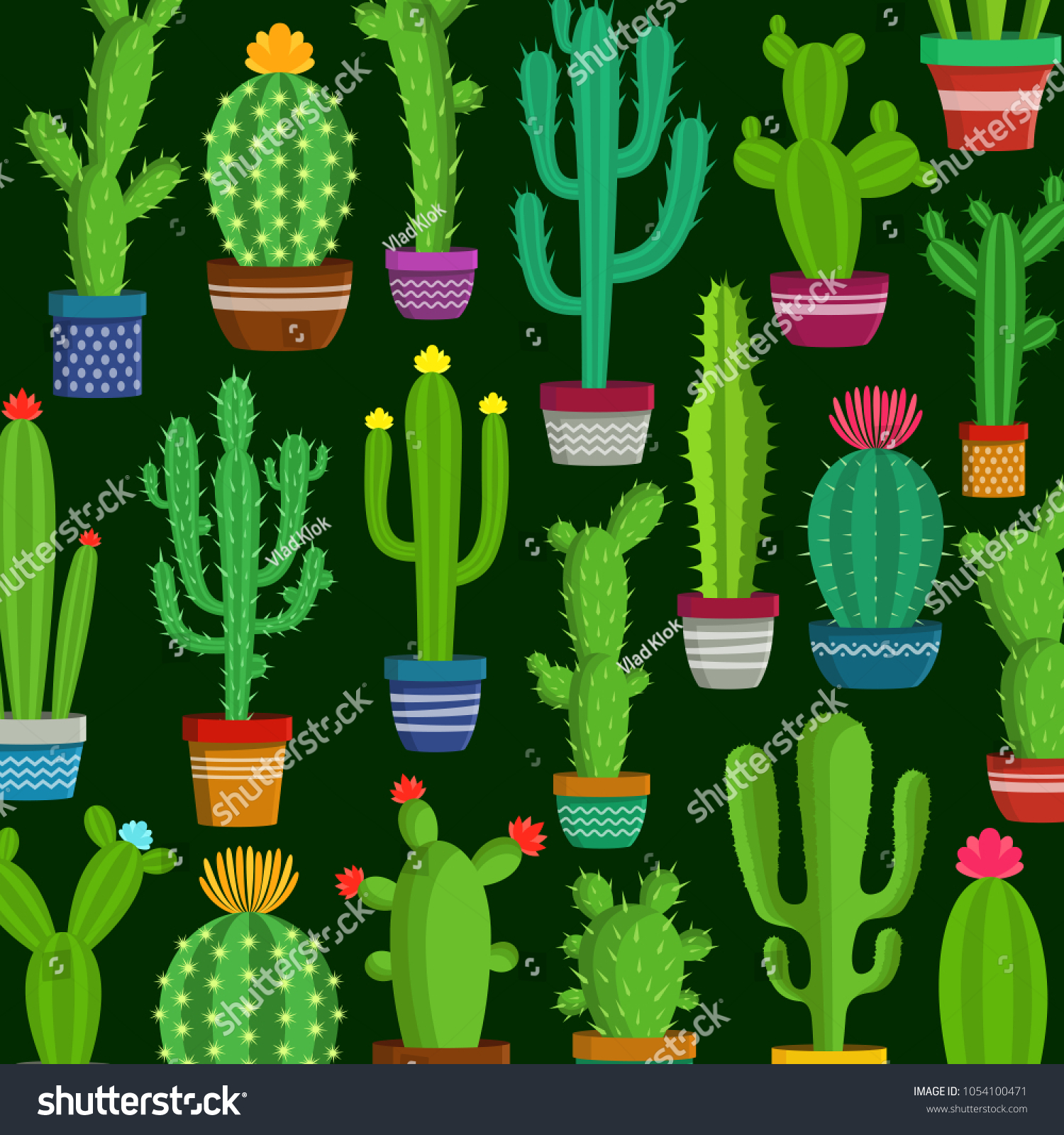 Detail Photos Of Cactus Plants Nomer 54