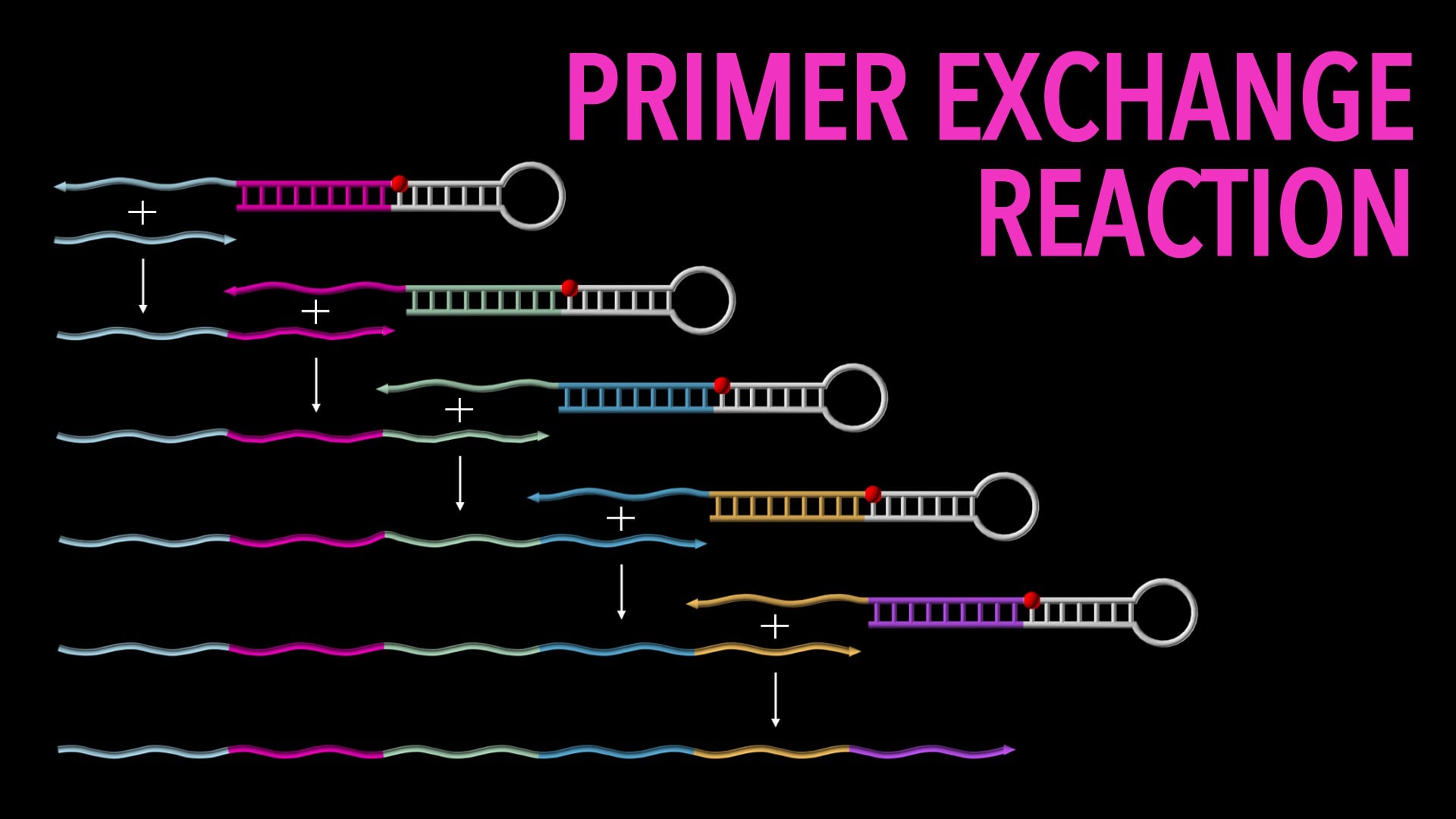 Detail Photos Of Dna Strands Nomer 25