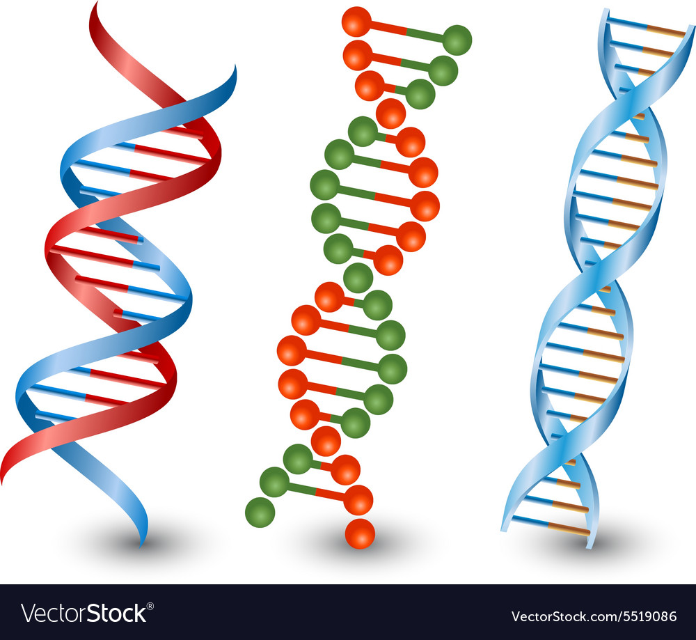 Detail Photos Of Dna Strands Nomer 5