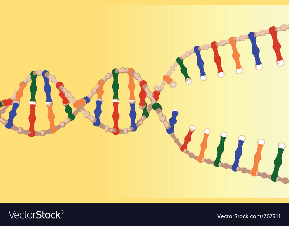 Detail Photos Of Dna Strands Nomer 38