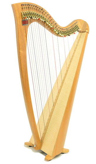 Detail Photos Of Harps Nomer 11