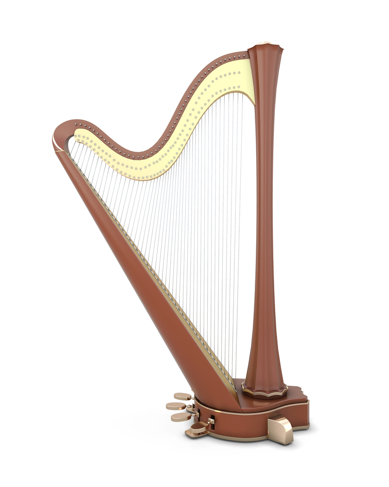 Detail Photos Of Harps Nomer 16