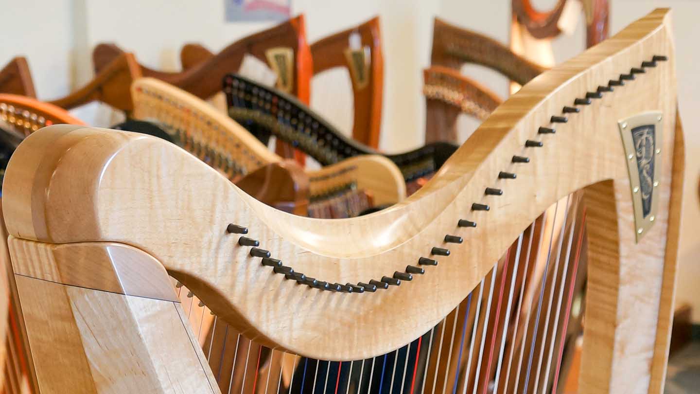 Detail Photos Of Harps Nomer 29