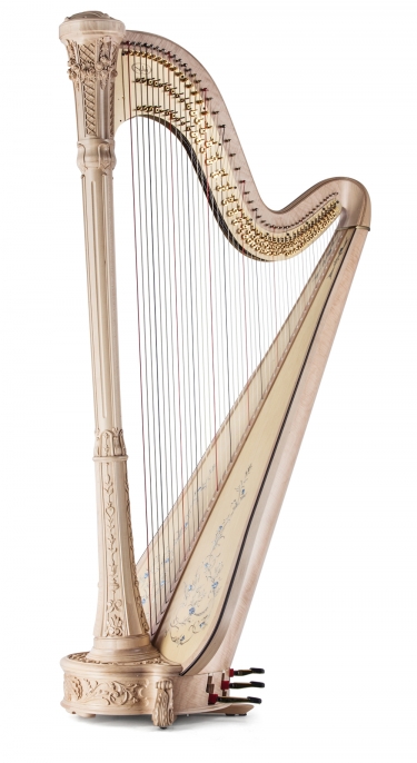 Detail Photos Of Harps Nomer 39