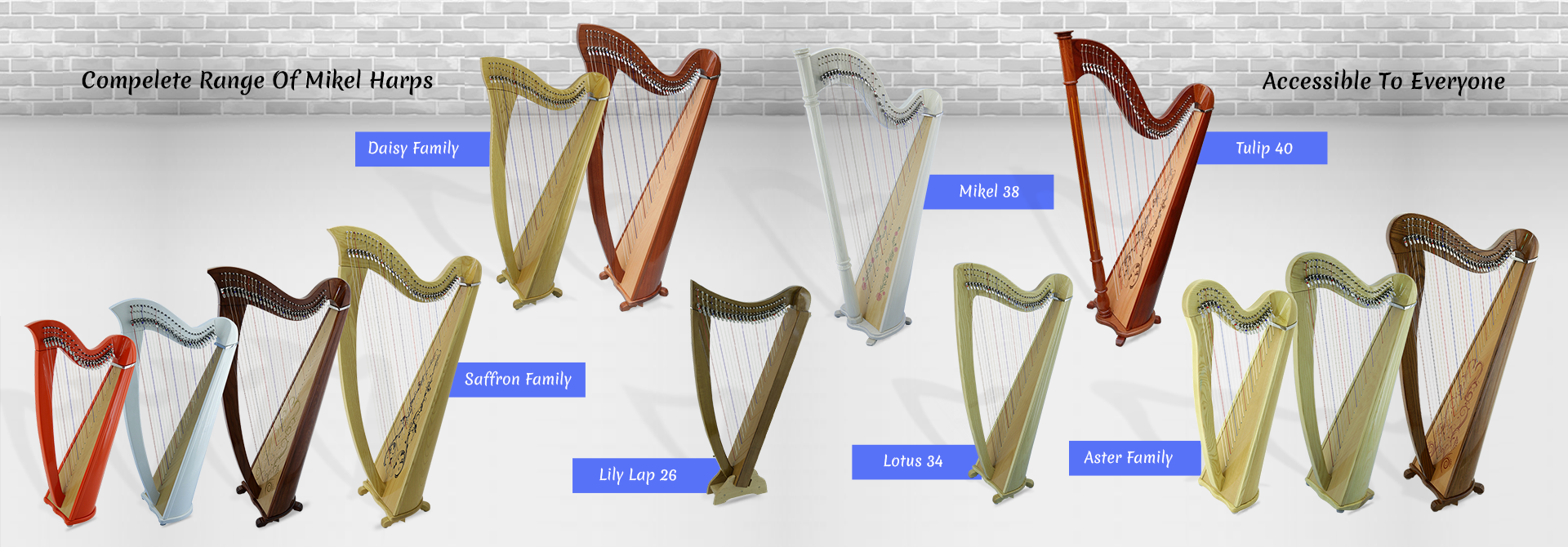 Detail Photos Of Harps Nomer 51
