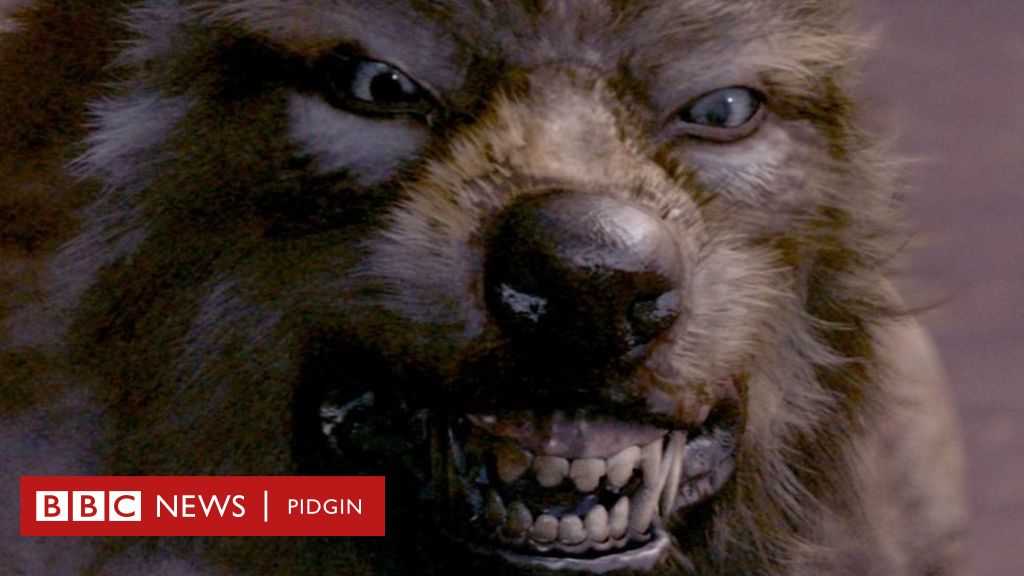 Detail Photos Of Werewolf Nomer 44
