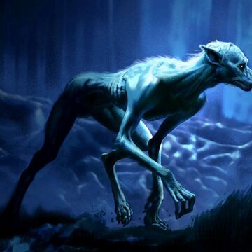 Detail Photos Of Werewolf Nomer 7