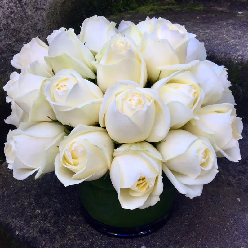 Detail Photos Of White Roses Nomer 20