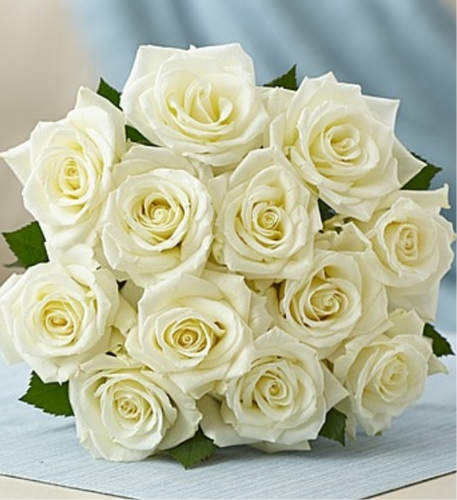 Detail Photos Of White Roses Nomer 24