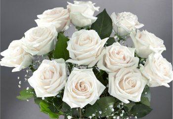 Detail Photos Of White Roses Nomer 32