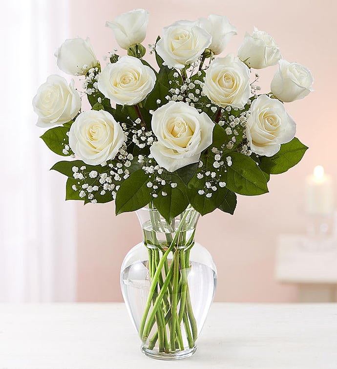 Detail Photos Of White Roses Nomer 37