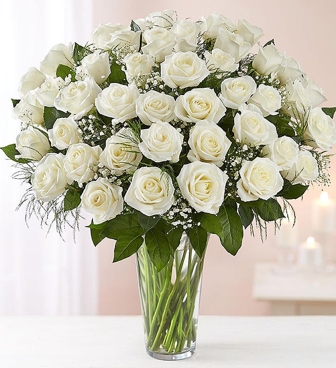 Detail Photos Of White Roses Nomer 9