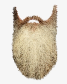 Detail Photoshop Beards Nomer 15