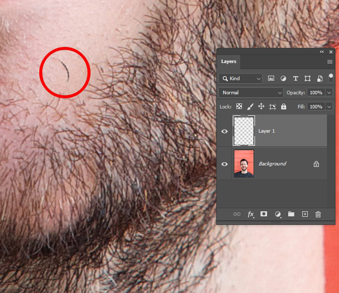 Detail Photoshop Beards Nomer 23