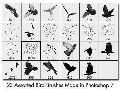 Detail Photoshop Bird Brushes Nomer 16
