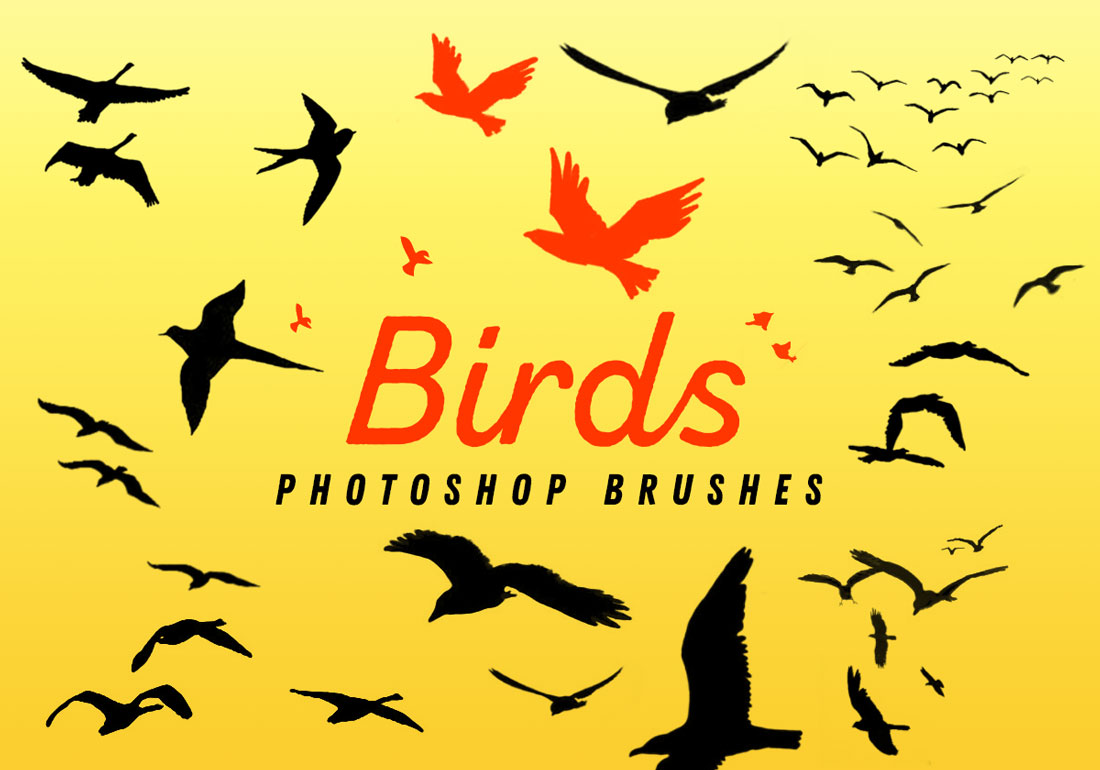 Detail Photoshop Bird Brushes Nomer 43