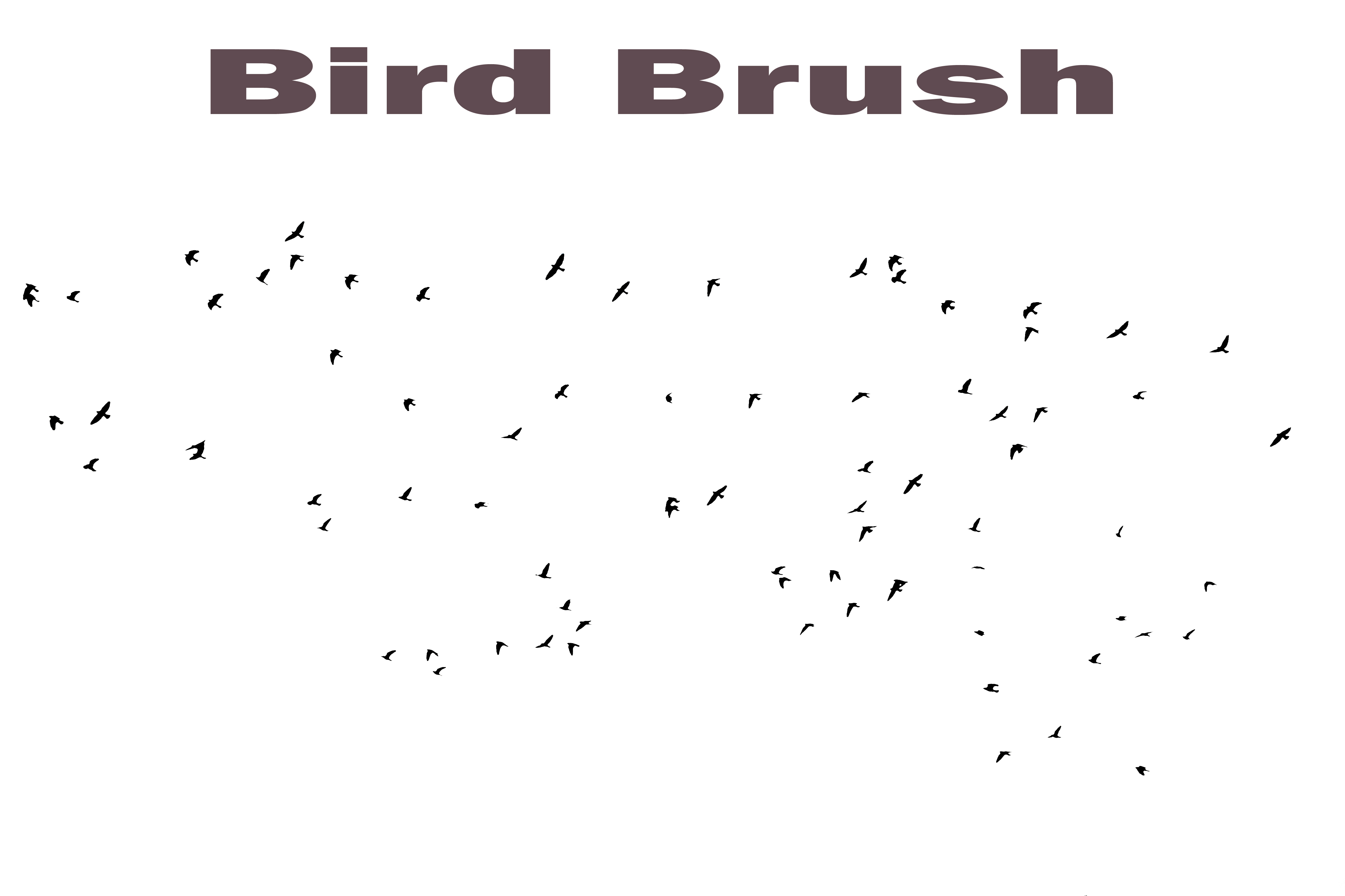 Detail Photoshop Birds Brush Nomer 15