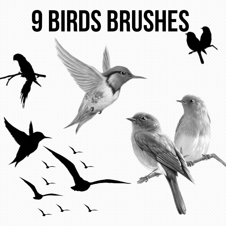 Detail Photoshop Birds Brushes Nomer 8