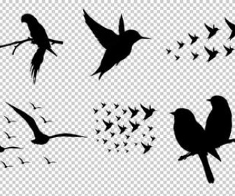 Detail Photoshop Birds Brushes Nomer 9