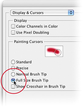 Detail Photoshop Brush Cursor Nomer 27