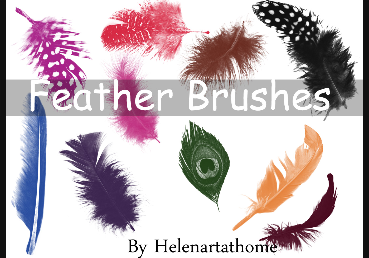 Detail Photoshop Feather Brush Nomer 17