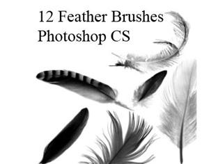Detail Photoshop Feather Brush Nomer 29