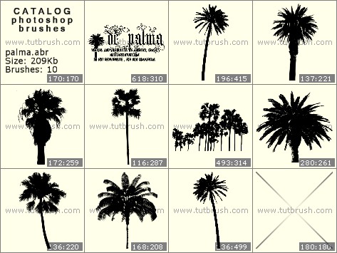 Detail Photoshop Palm Tree Brushes Nomer 22