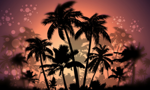 Detail Photoshop Palm Tree Brushes Nomer 33