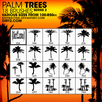 Detail Photoshop Palm Tree Brushes Nomer 8
