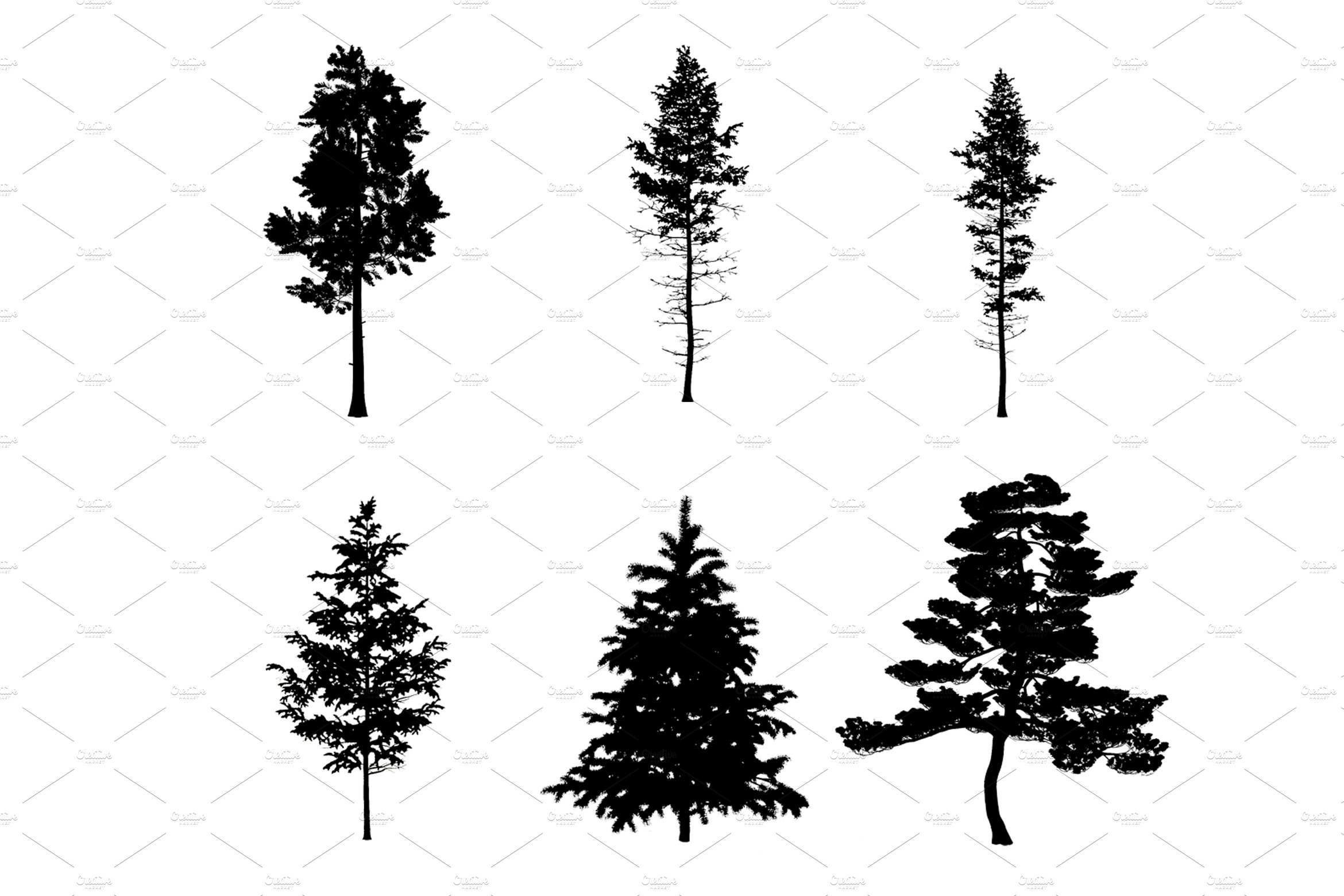 Detail Photoshop Pine Tree Brushes Nomer 2