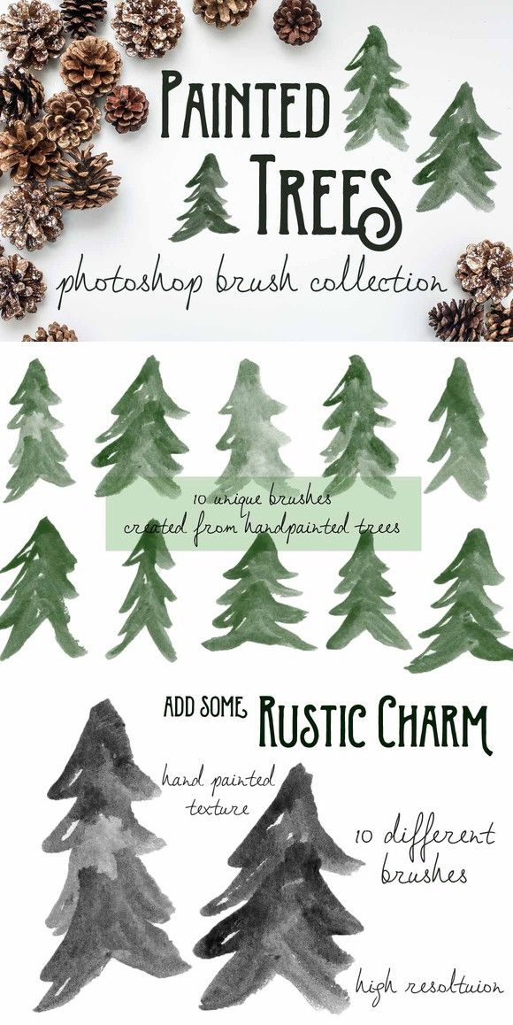 Detail Photoshop Pine Tree Brushes Nomer 14