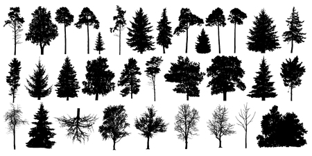 Detail Photoshop Pine Tree Brushes Nomer 25